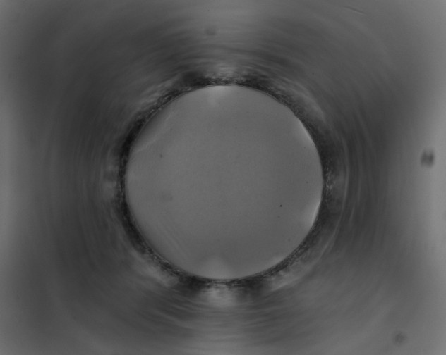 X0000102020416200808081753