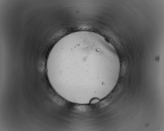 X0000102020417200808081753