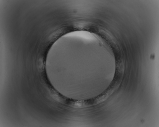 X0000102020420200808081753