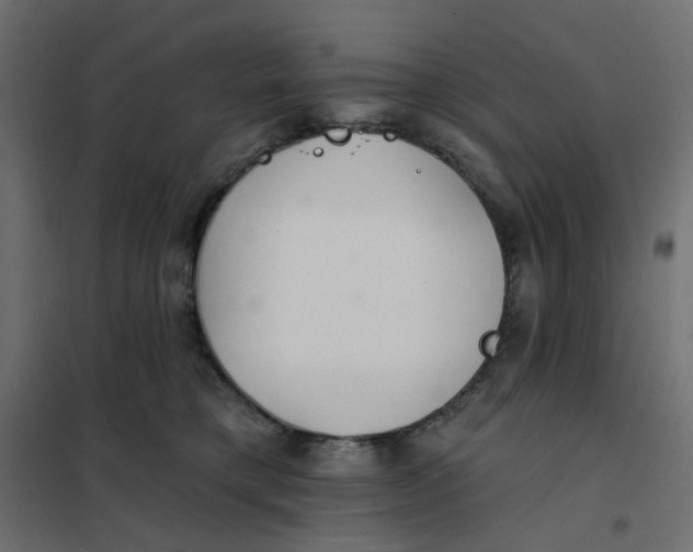X0000102020421200808081753