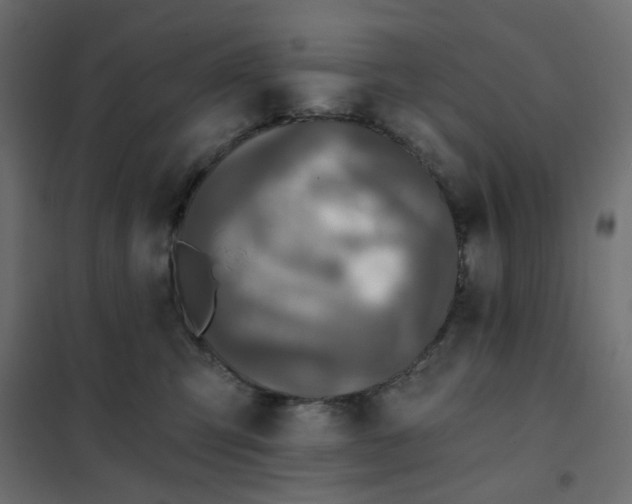 X0000102020423200808081753