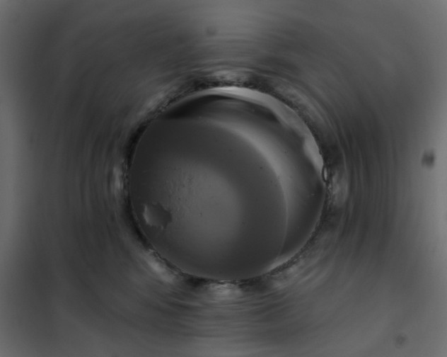X0000102020424200808081753