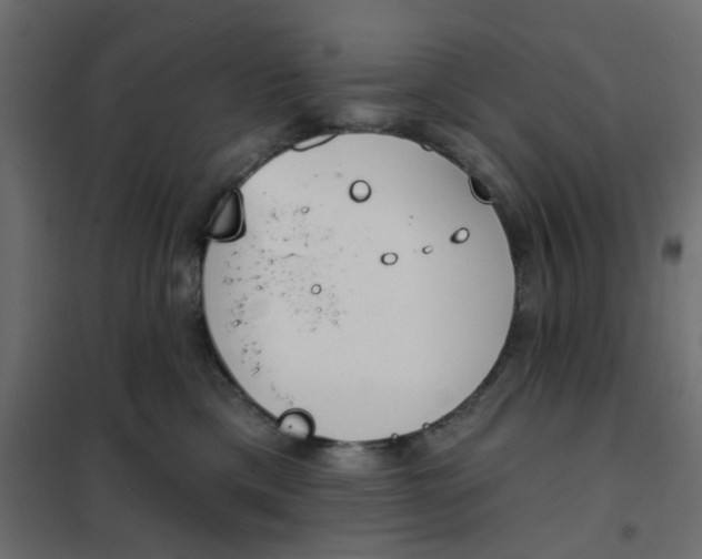 X0000102020425200808081753