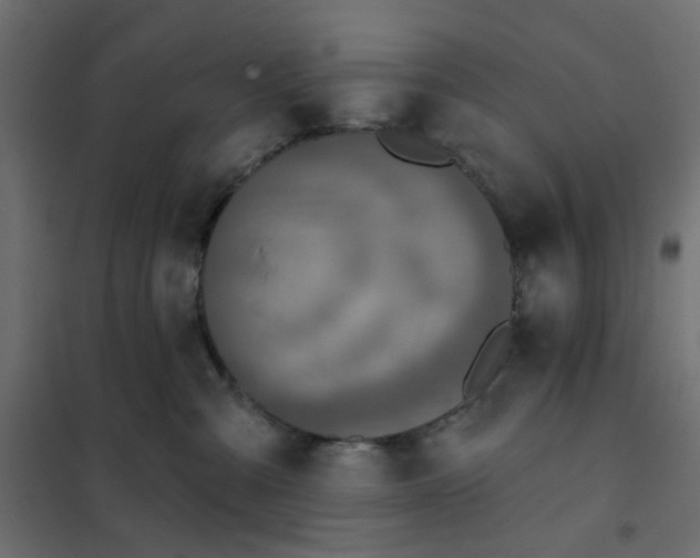 X0000102020427200808081753