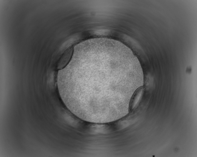 X0000102020428200808081753
