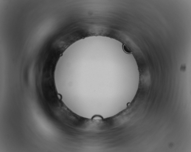 X0000102020429200808081753