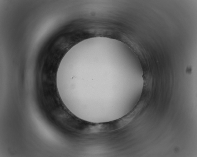 X0000102020430200808081753