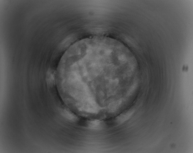 X0000102020432200808081753