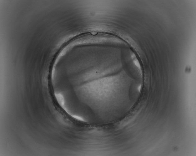 X0000102020434200808081752