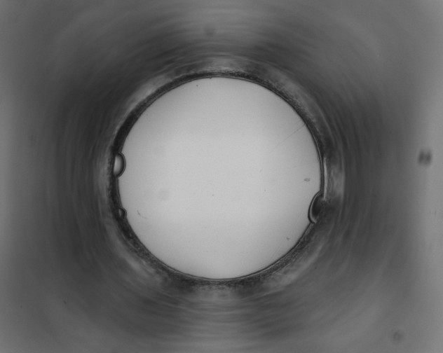 X0000102020435200808081752
