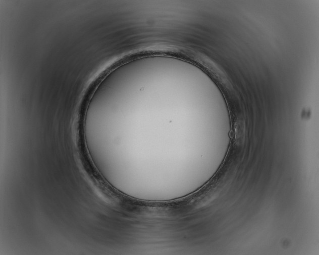 X0000102020436200808081752