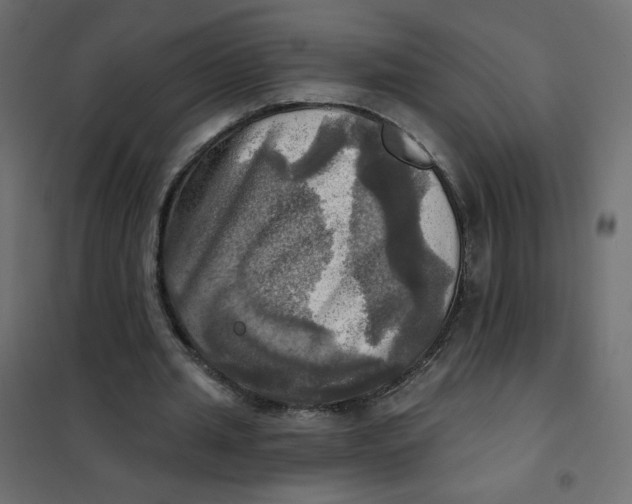 X0000102020437200808081752