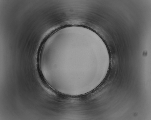 X0000102020438200808081752