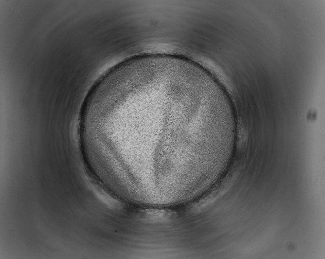 X0000102020439200808081752