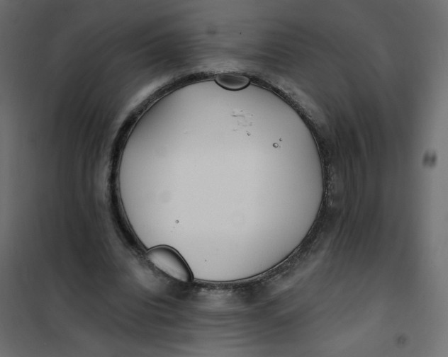 X0000102020440200808081752