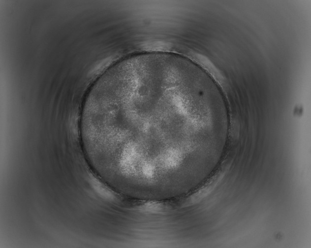 X0000102020441200808081752