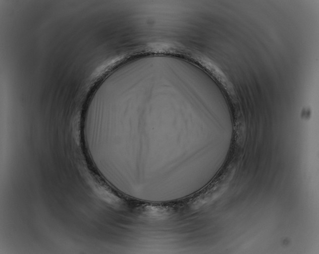 X0000102020442200808081752