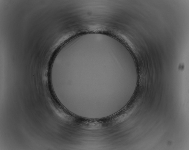 X0000102020443200808081752