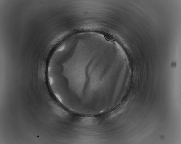 X0000102020446200808081752