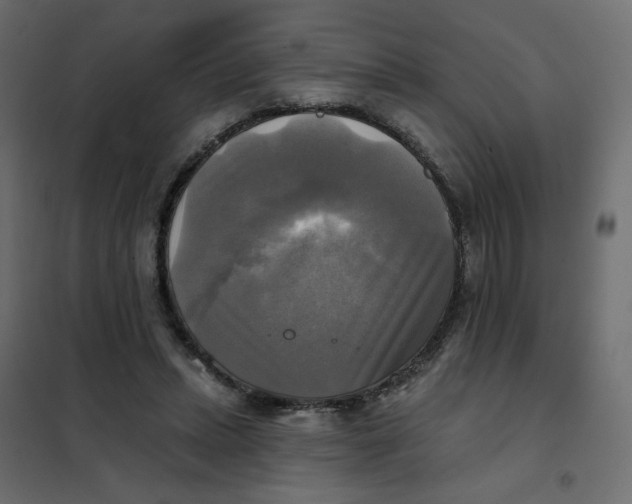 X0000102020447200808081752