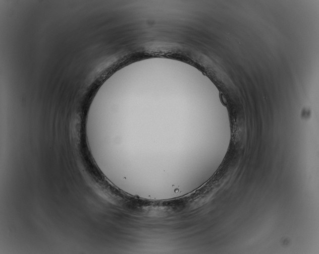 X0000102020448200808081752
