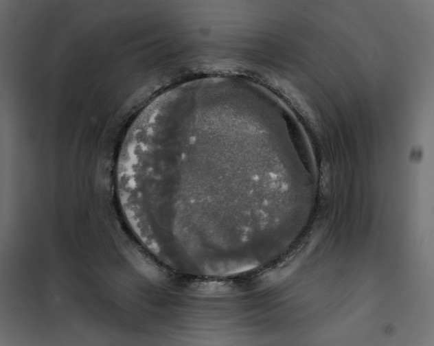 X0000102020449200808081752