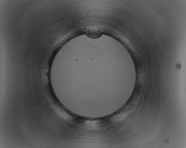 X0000102020450200808081752