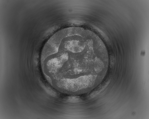 X0000102020451200808081752