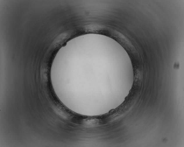 X0000102020452200808081752
