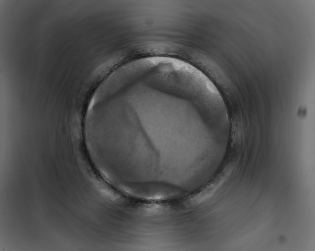 X0000102020453200808081753