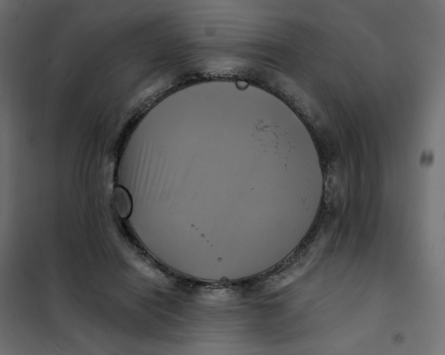 X0000102020454200808081753