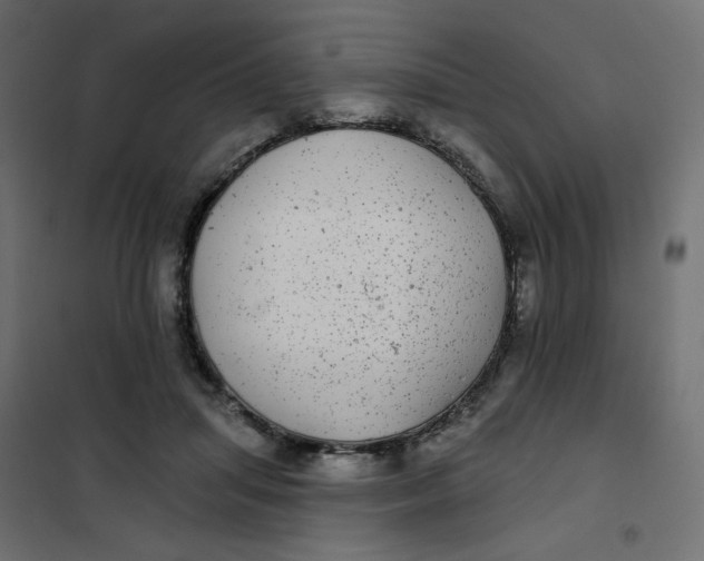 X0000102020455200808081753