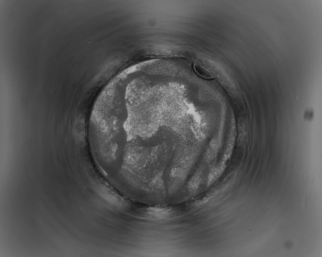 X0000102020457200808081753