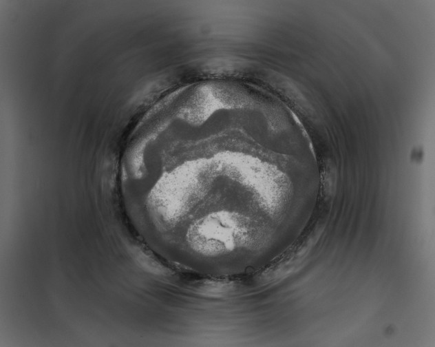 X0000102020458200808081753