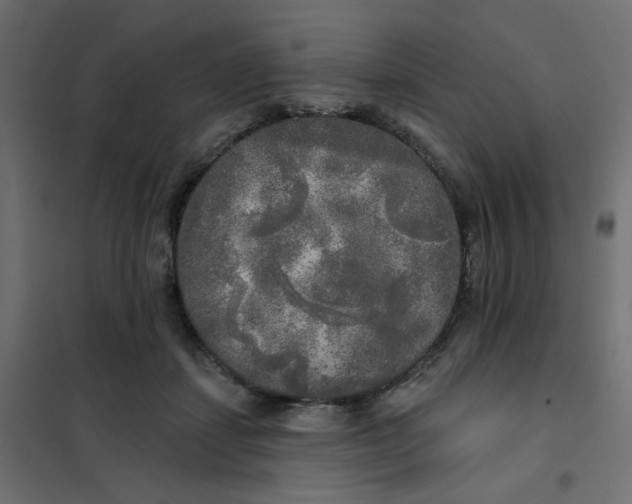 X0000102020459200808081753
