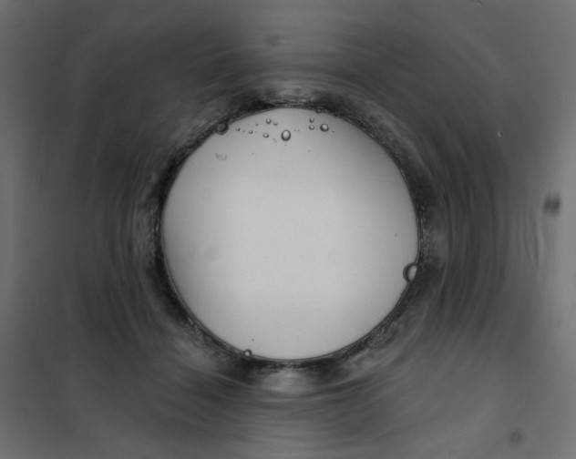X0000102020460200808081753