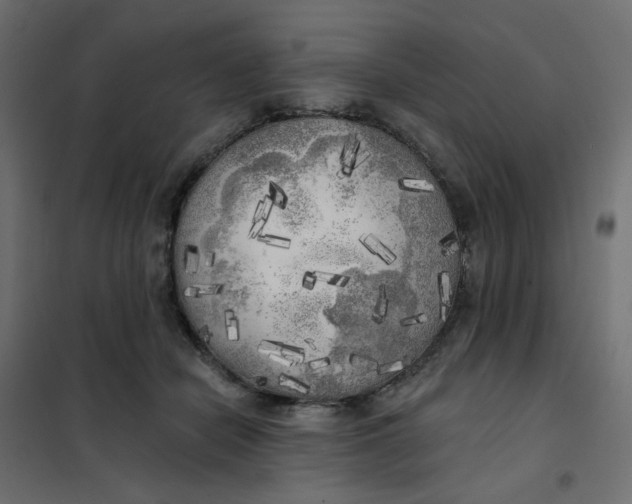 X0000102020462200808081753
