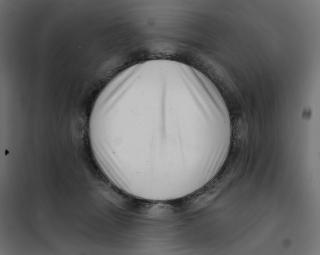 X0000102020463200808081753