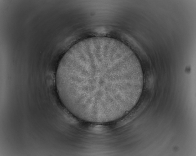 X0000102020467200808081753