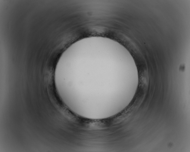 X0000102020468200808081753