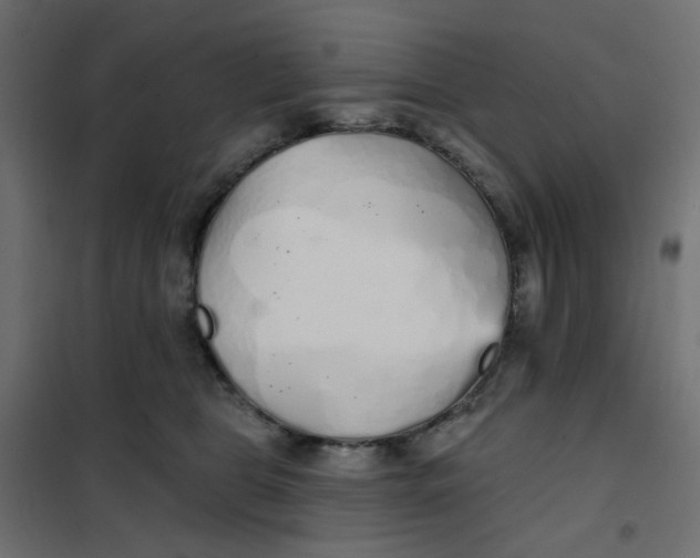 X0000102020469200808081753