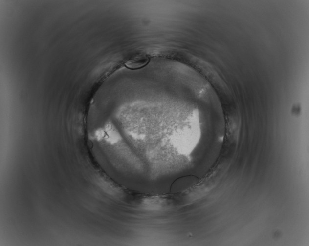 X0000102020470200808081753