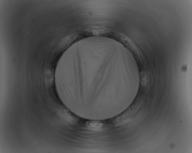 X0000102020471200808081753