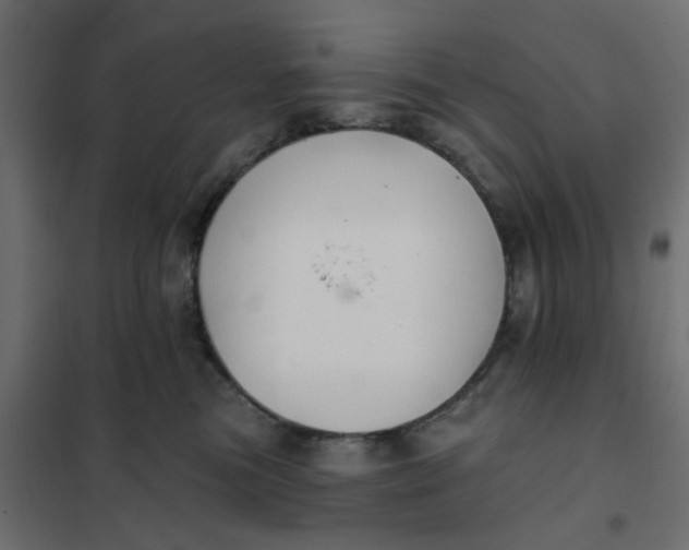 X0000102020473200808081753
