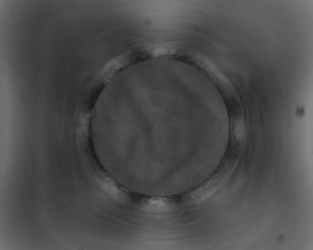 X0000102020475200808081753