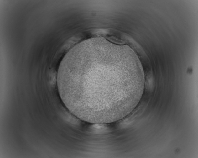 X0000102020477200808081753