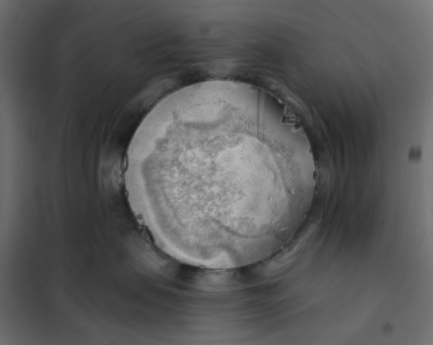 X0000102020479200808081753