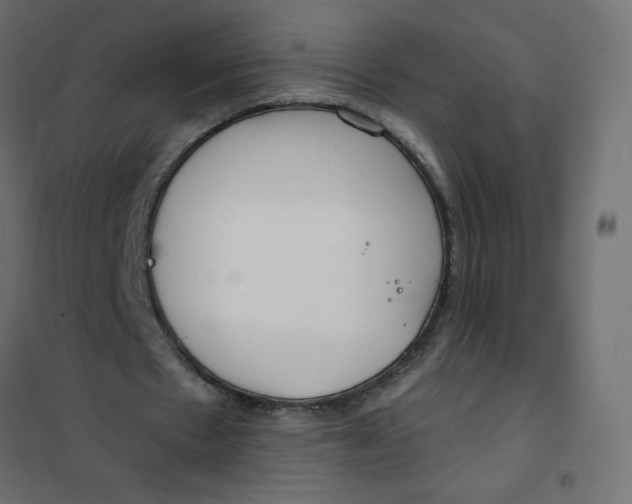 X0000102020481200808081752