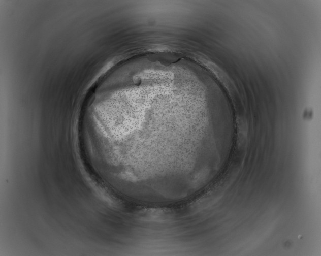 X0000102020482200808081752