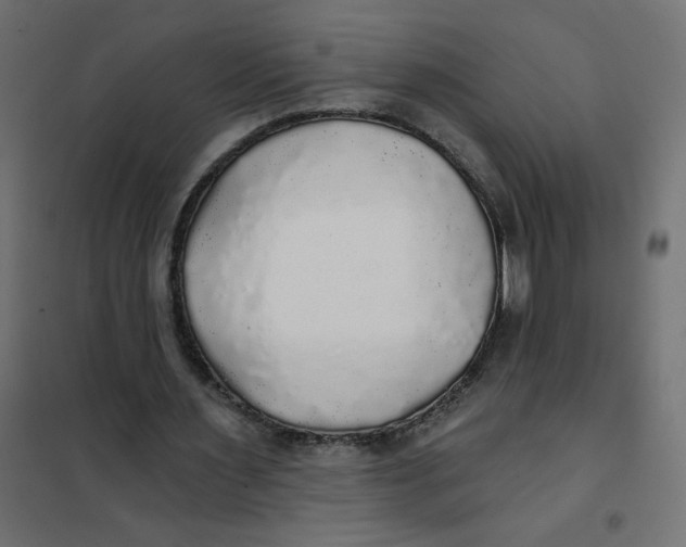 X0000102020483200808081752